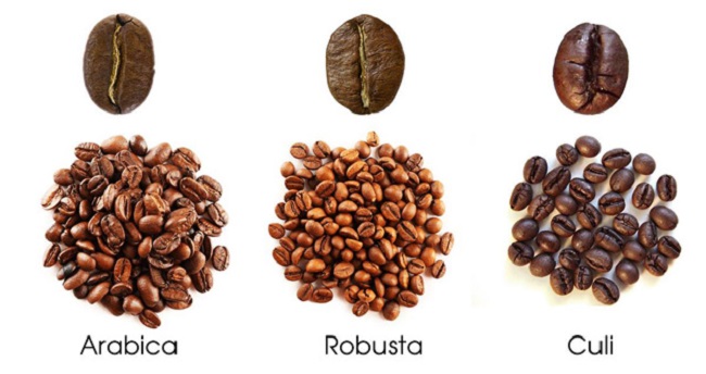 ca phe nguyen chat hn